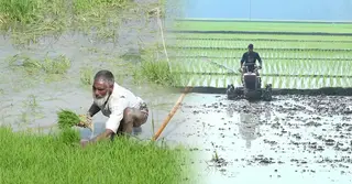 চাঁপাইনবাবগঞ্জে নিচে নেমে গেছে ভূগর্ভস্থ পানির স্তর,  বিপাকে কৃষকরা